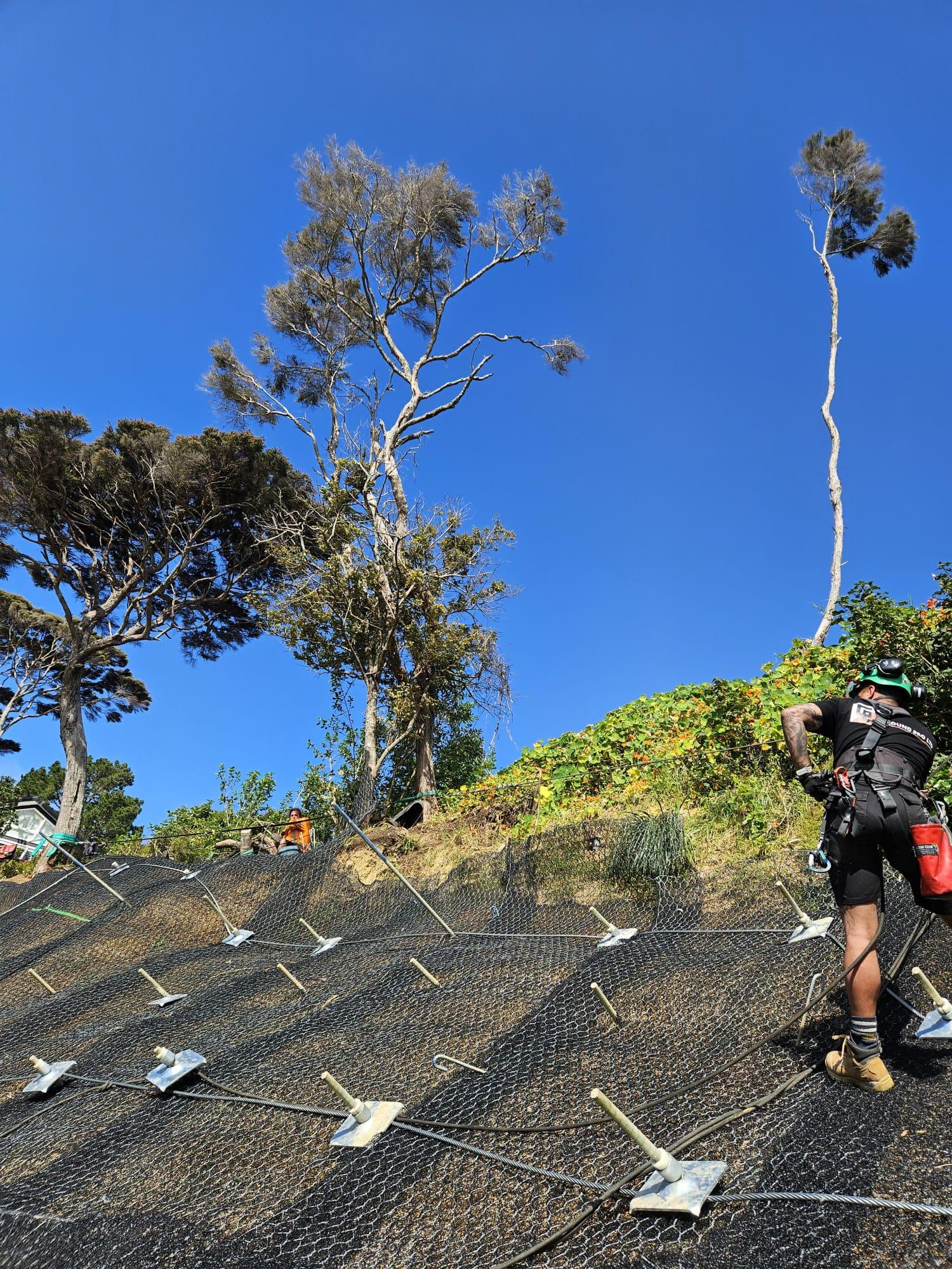 Erosion control matting with native planting