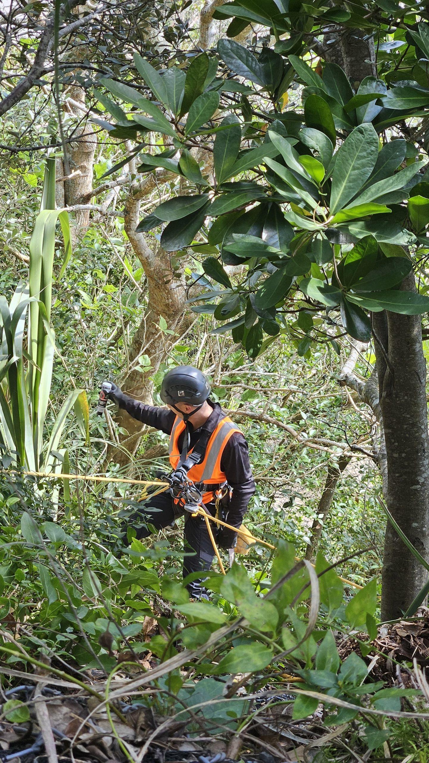 Well-maintained vegetated slope on a New Zealand property